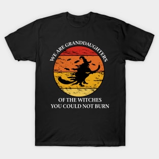 We are granddaughters of the witches you could not T-Shirt